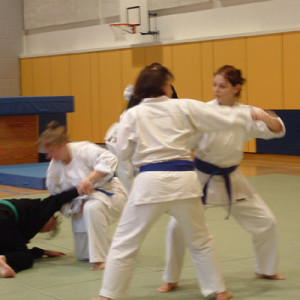Goshindo Goshindo