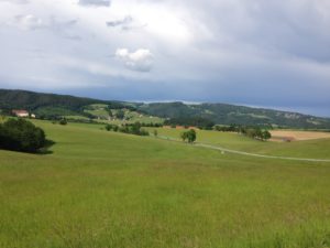 IMG_0218